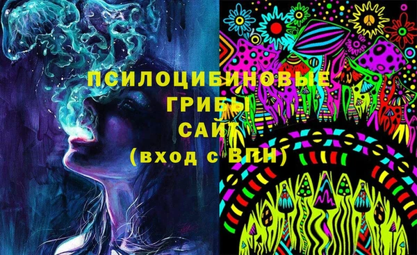 прущая мука Вяземский