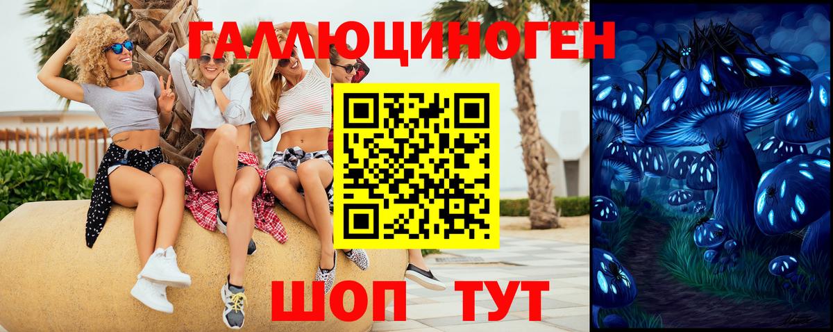 Галлюциногенные грибы мухоморы Чита