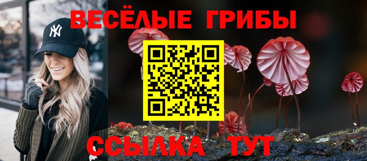 Псилоцибиновые грибы Magic Shrooms  Чита  Галлюциногенные грибы Cubensis 